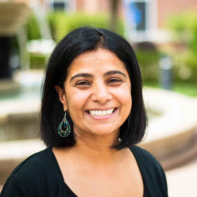 Sunila Rao, Elmhurst University