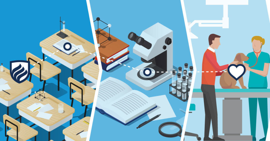 4 Steps to a Degree in Veterinary Medicine Blog Elmhurst University