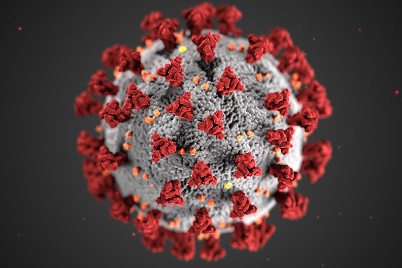 Enlarged image of the COVID-19 virus.