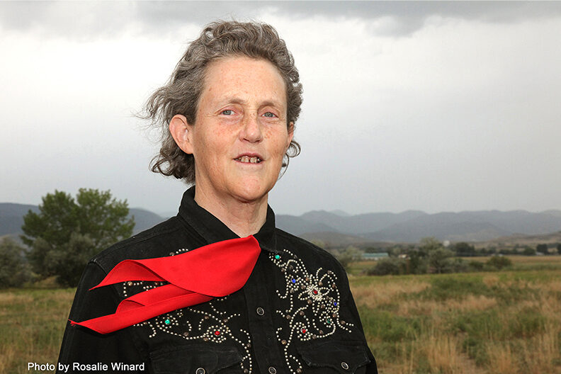 Photo of author and animal right activist Temple Grandin.