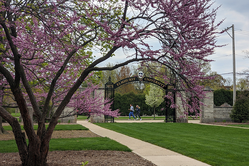A flowering tree on the campus of Elmhurst University, with the Gates of Knowledge in the background.