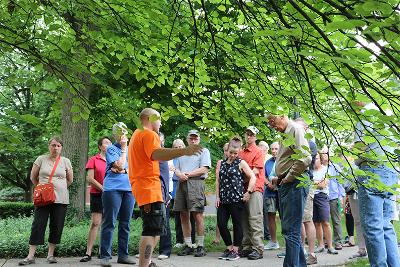 A group gathers under a tree for a tour of Elmhurst University's arboretum.