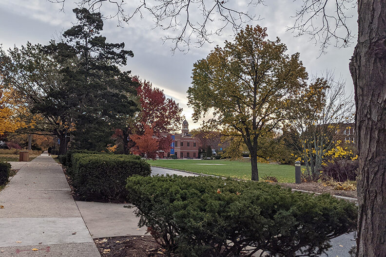 A photo of trees and greenery on the campus of Elmhurst University in the suburbs of Chicago, IL.