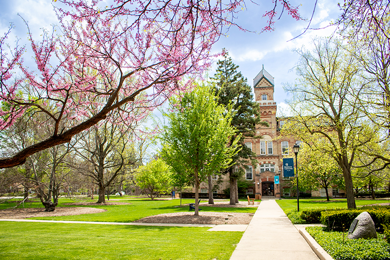 Path leading to Old Main
